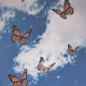 Meet your Posher, Farangiz